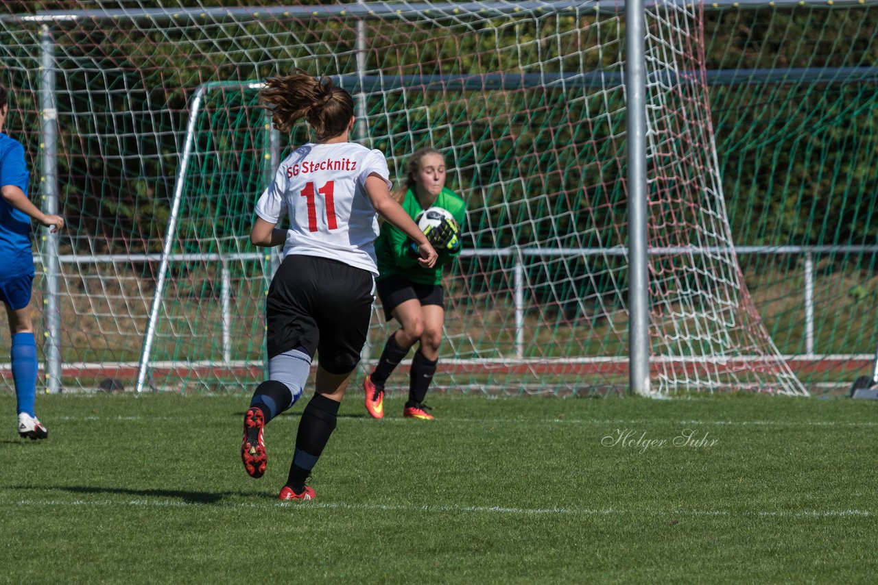 Bild 323 - Frauen VfL Oldesloe 2 . SG Stecknitz 1 : Ergebnis: 0:18